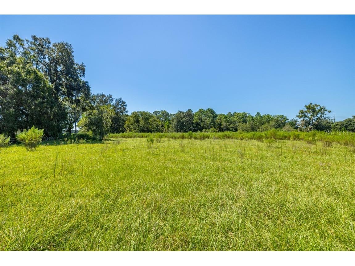 13410 Walden Sheffield Road Dover FL 33527 TB8428879 image17