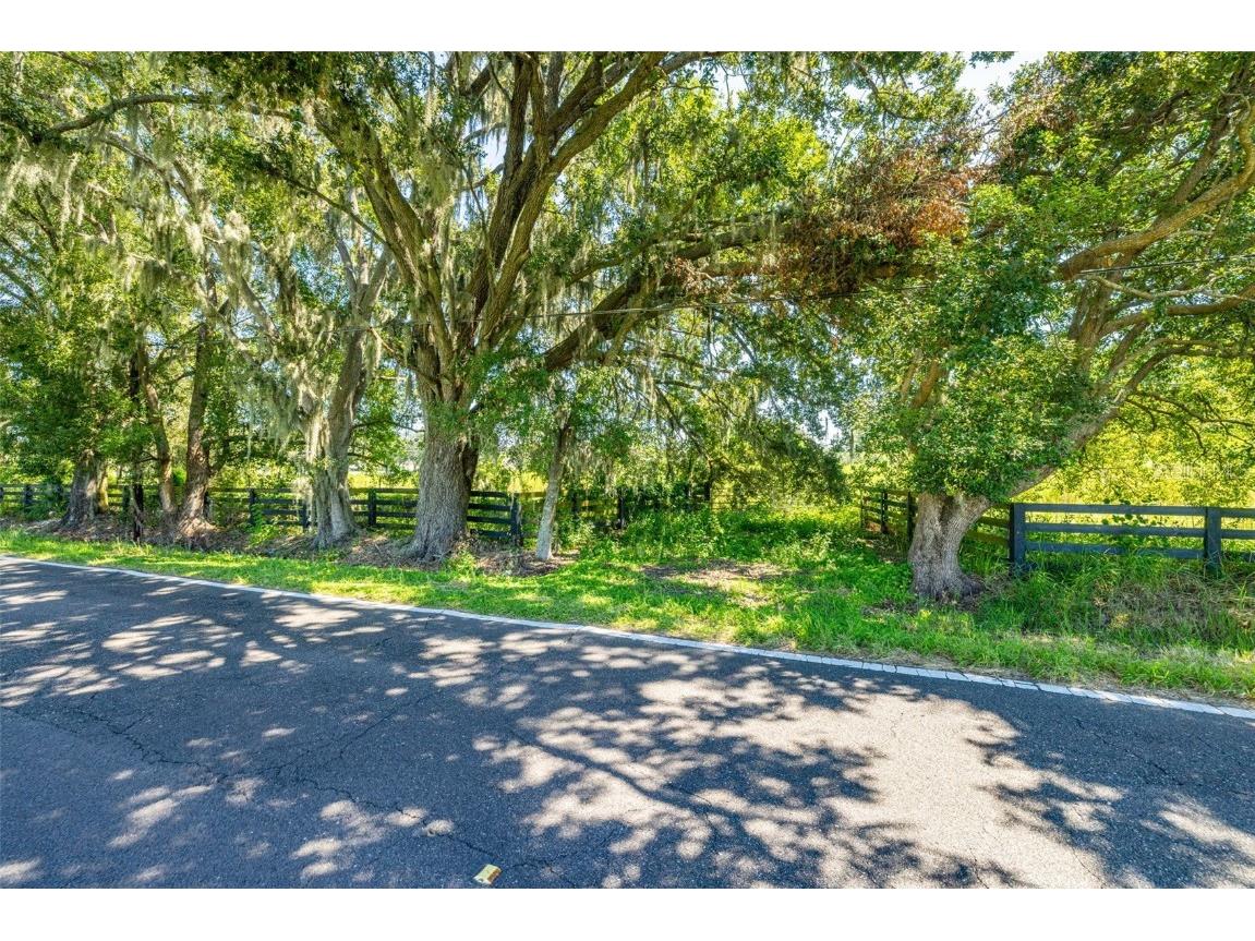 13410 Walden Sheffield Road Dover FL 33527 TB8428879 image2