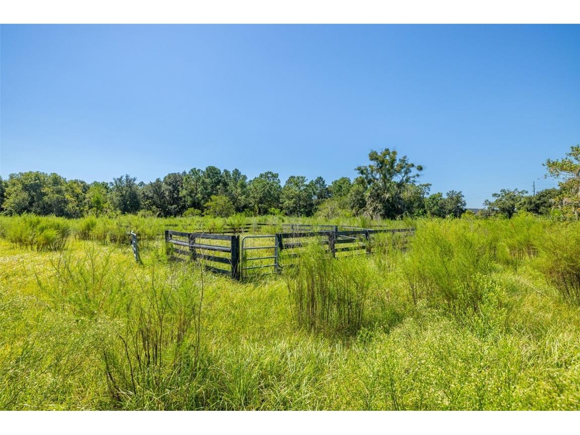 13410 Walden Sheffield Road Dover FL 33527 TB8428879 image4