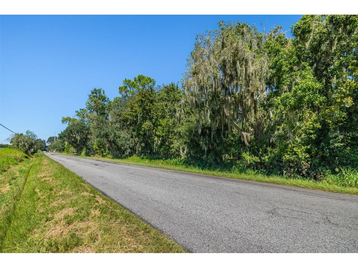 13410 Walden Sheffield Road Dover FL 33527 TB8428879 image5