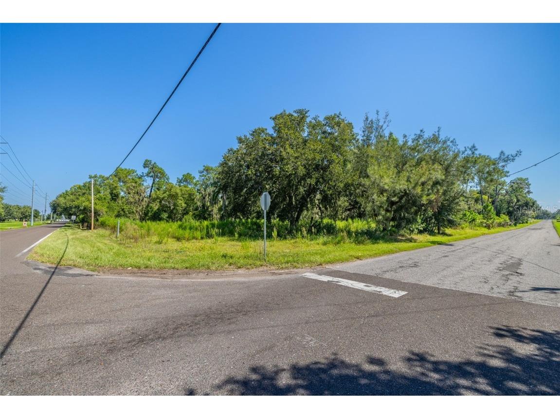 13410 Walden Sheffield Road Dover FL 33527 TB8428879 image6