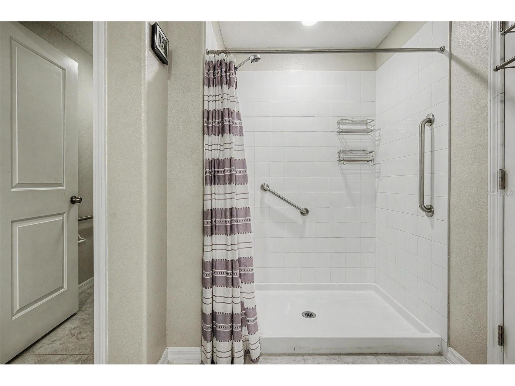 13411 Willow Bluestar Loop Riverview FL 33579 TB8518987 image20