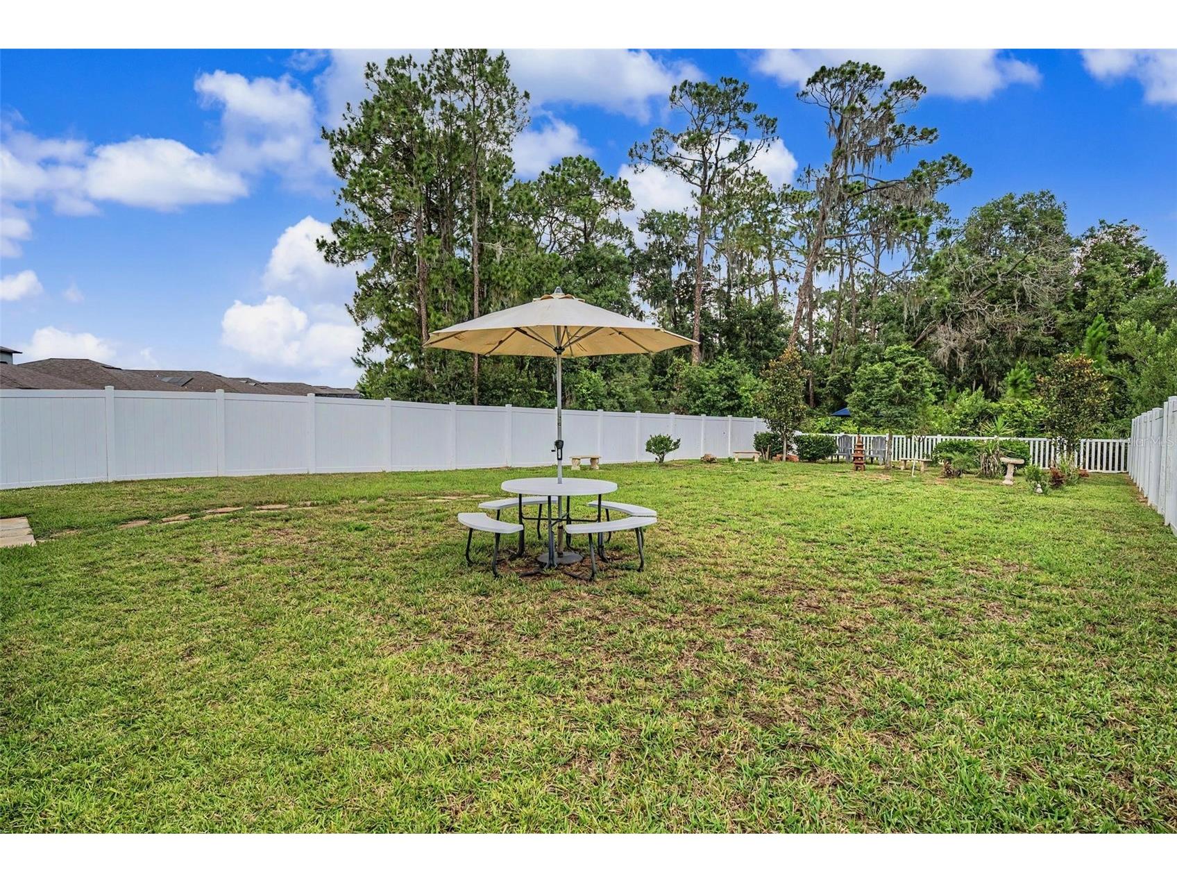 13411 Willow Bluestar Loop Riverview FL 33579 TB8518987 image31