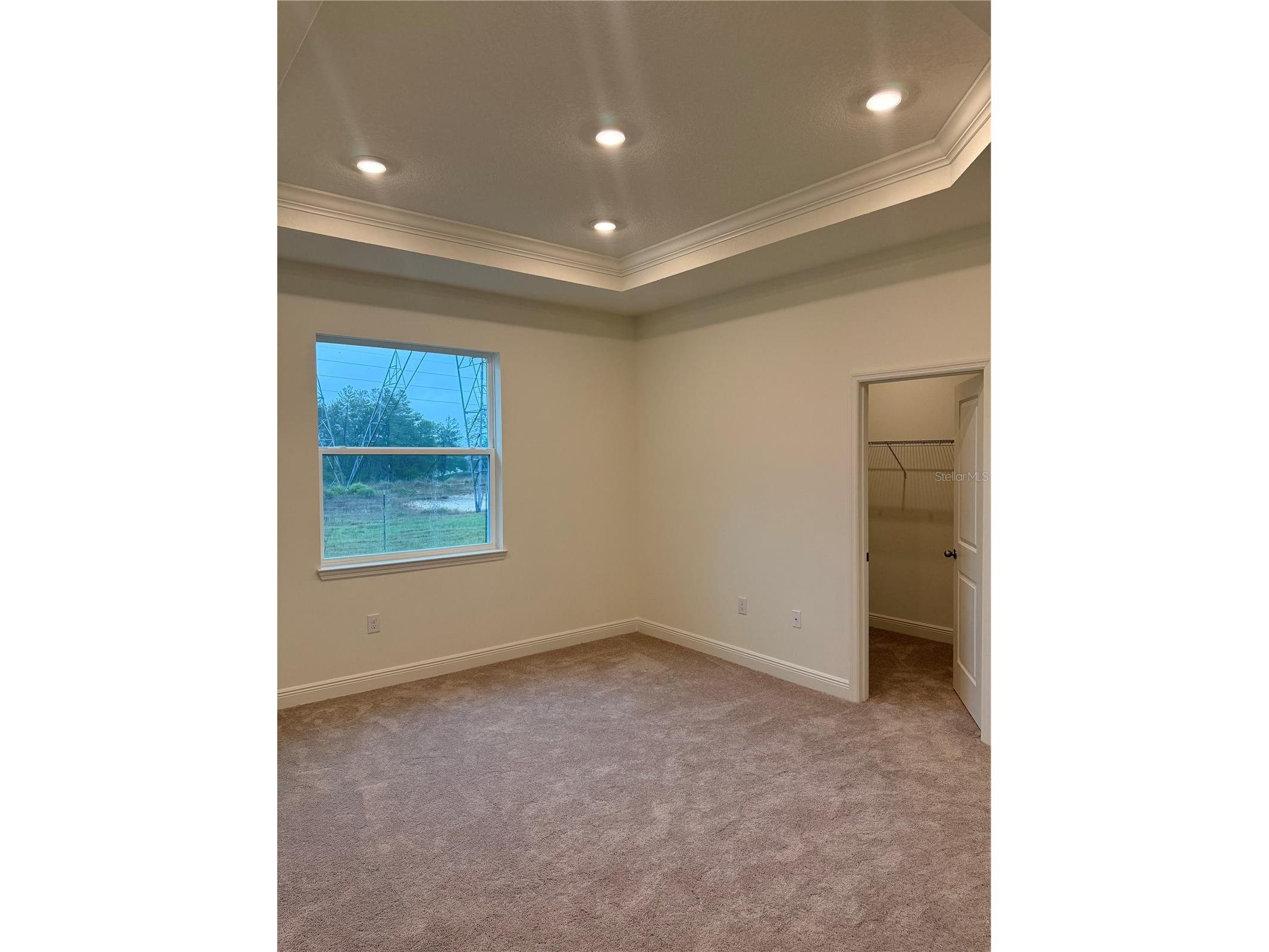 13412 Brewster Road Spring Hill FL 34609 C7518385 image5