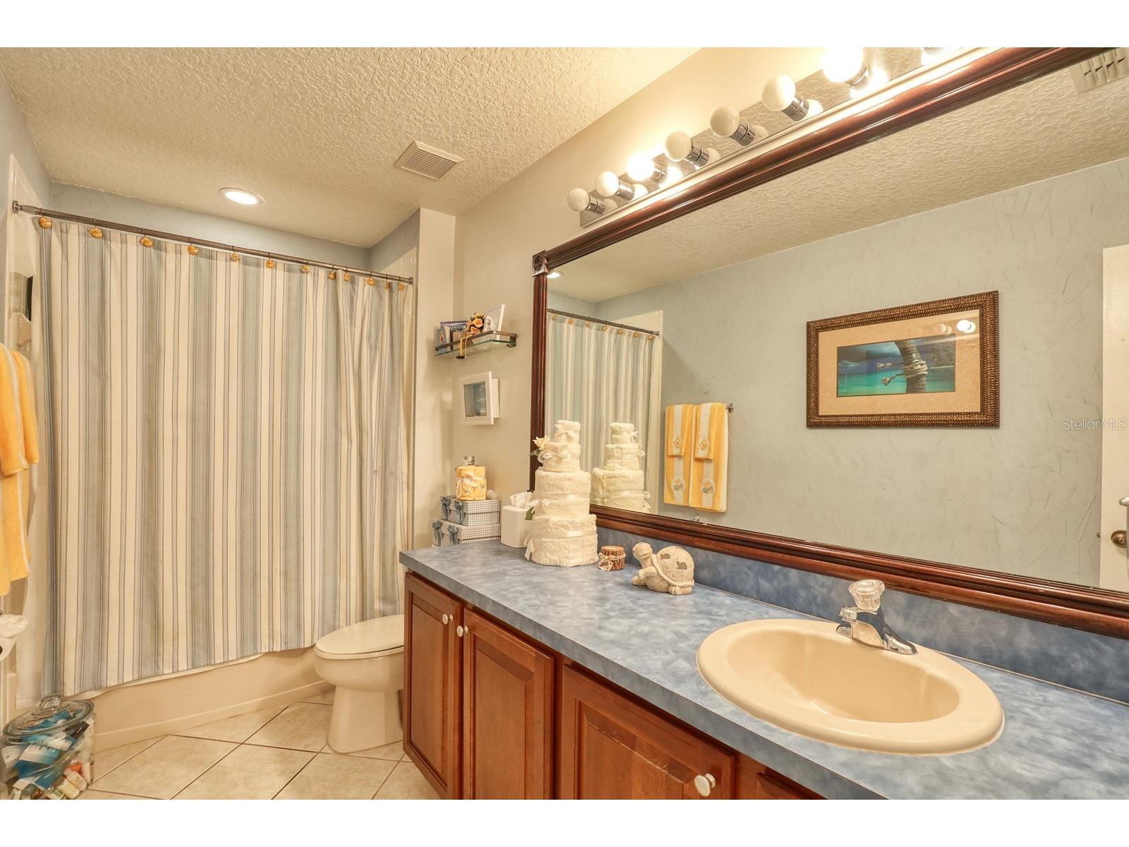 13412 Fox Glove Street Winter Garden FL 34787 - Black Lake G5110319 image26