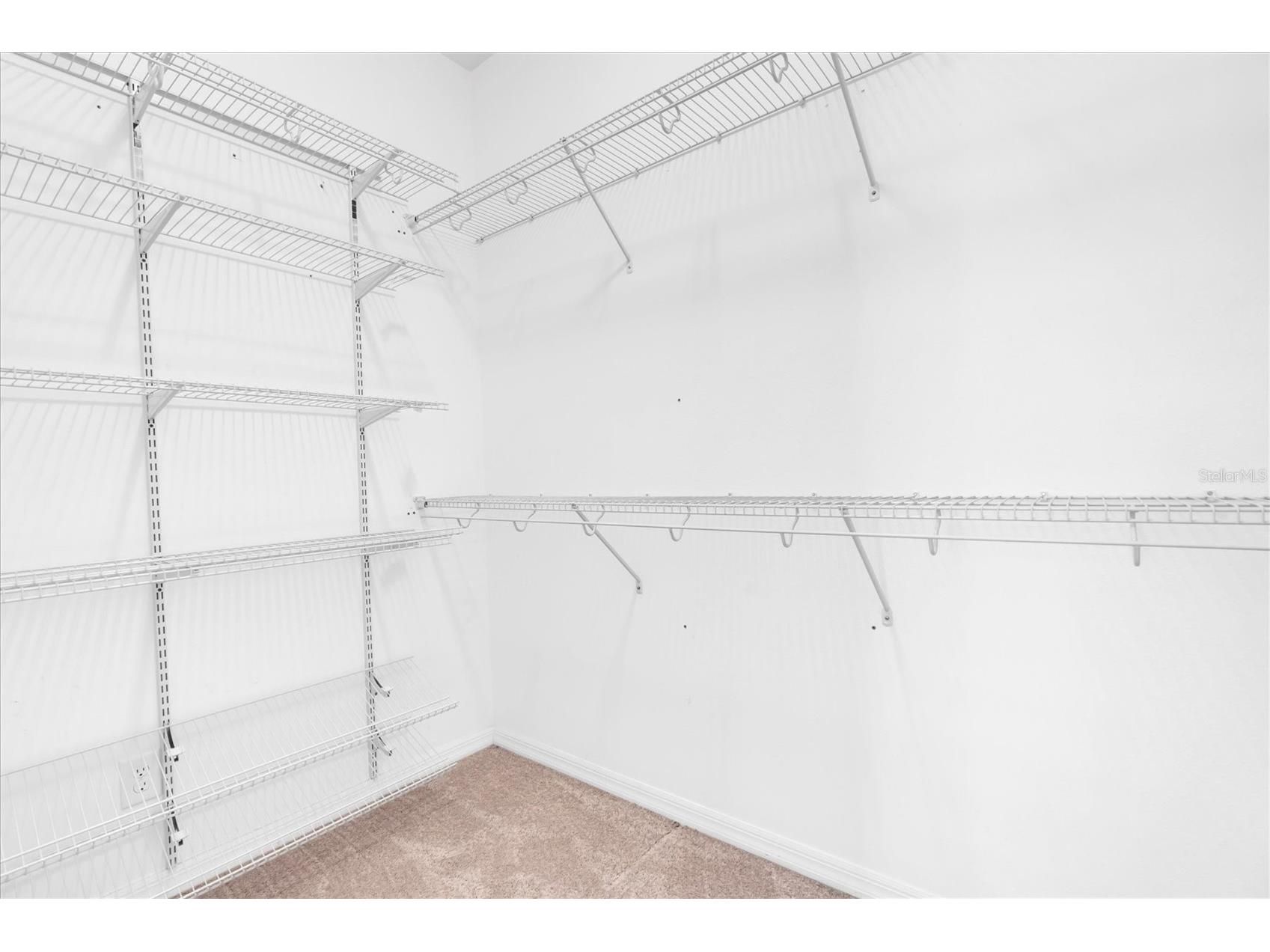 13413 Batten Lane Odessa FL 33556 TB8477773 image22