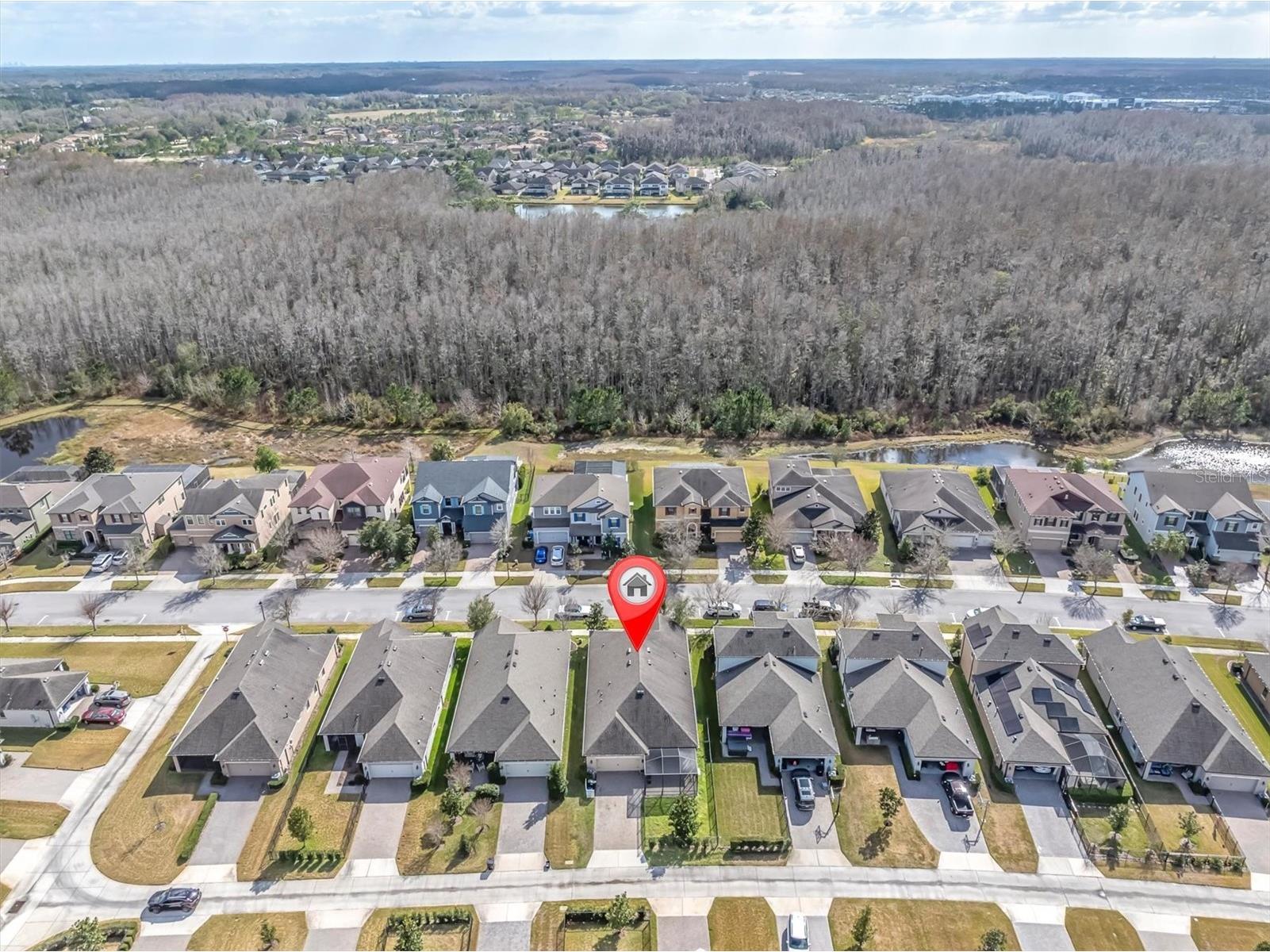 13413 Batten Lane Odessa FL 33556 TB8477773 image41