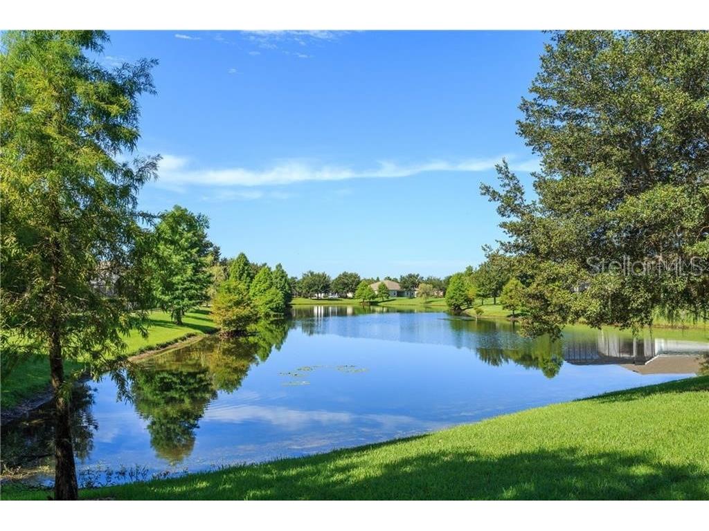 13413 Zori Lane Windermere FL 34786 O6357195 image27