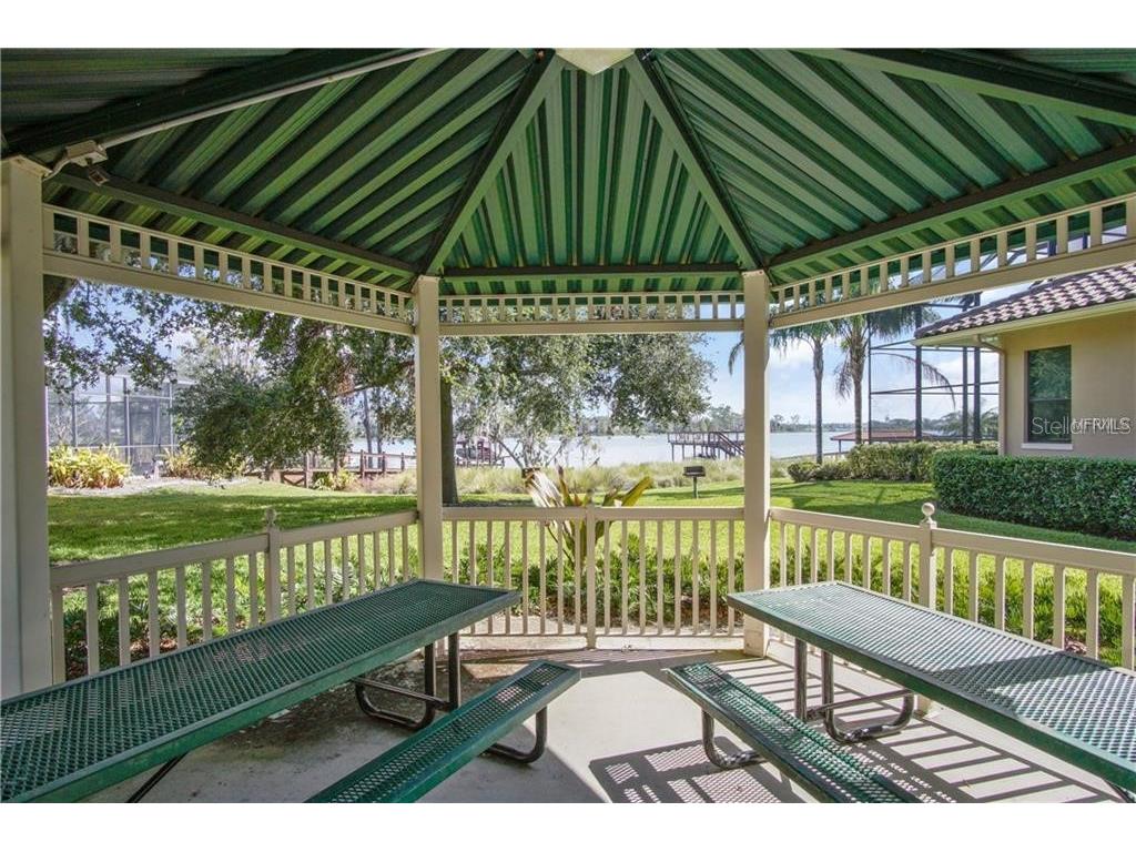 13413 Zori Lane Windermere FL 34786 O6357195 image29