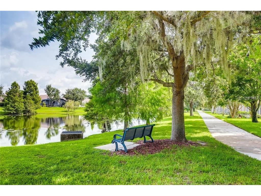 13413 Zori Lane Windermere FL 34786 O6357195 image33