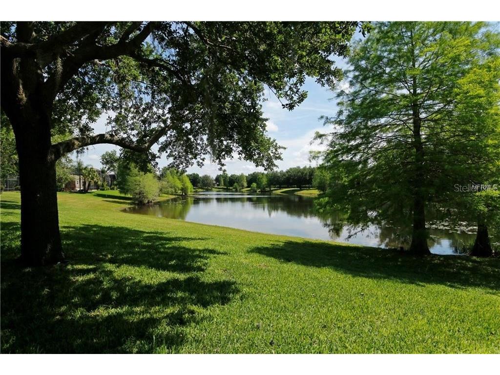 13413 Zori Lane Windermere FL 34786 O6357195 image34