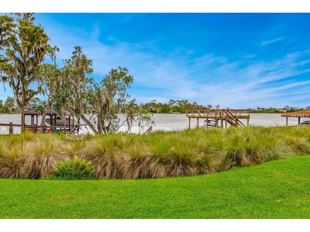 13413 Zori Lane Windermere FL 34786 O6357195 image37