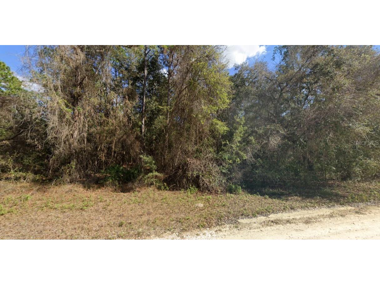 13414 Canyon Swallow Road Weeki Wachee FL 34614 TB8421795 image1