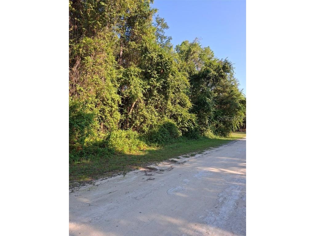 13414 Canyon Swallow Road Weeki Wachee FL 34614 TB8432209 image1