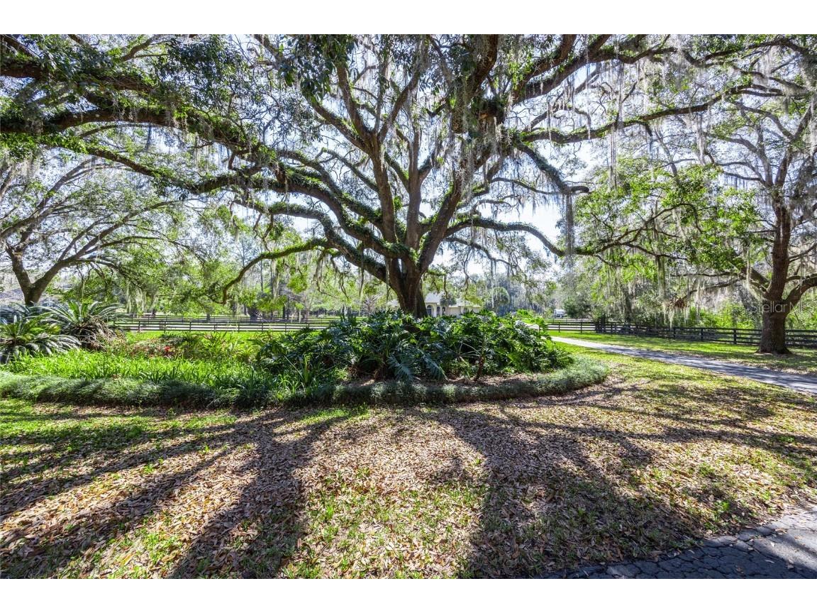 13414 NW 19th Place Gainesville FL 32606 GC528858 image9