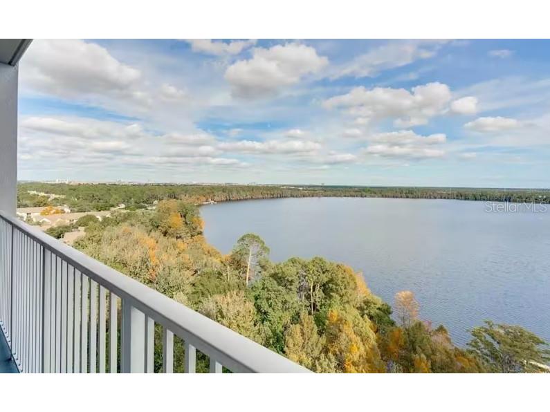 13415 Blue Heron Beach Drive #1102 Orlando FL 32821 O6399045 image24