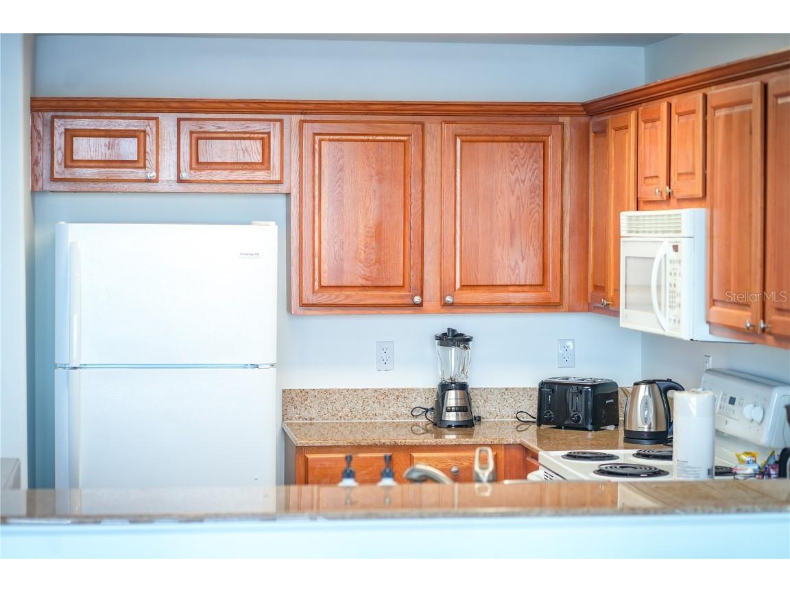 13415 Blue Heron Beach Drive #1108 Orlando FL 32821 - LAKE BRYAN TB8439586 image20