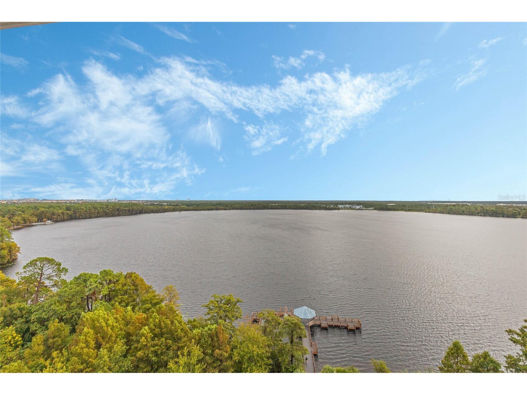 13415 Blue Heron Beach Drive #1207 Orlando FL 32821 O6379953 image10