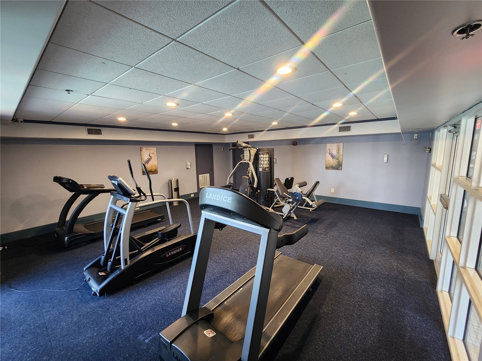 13415 Blue Heron Beach Drive #309 Orlando FL 32821 S5141828 image25