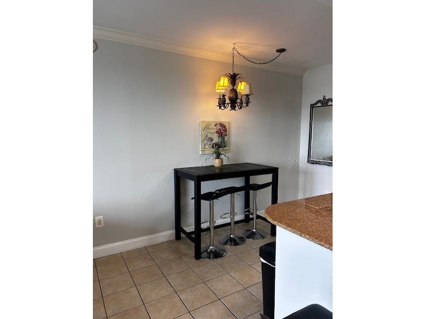 13415 Blue Heron Beach Drive #508 Orlando FL 32821 R4911308 image8