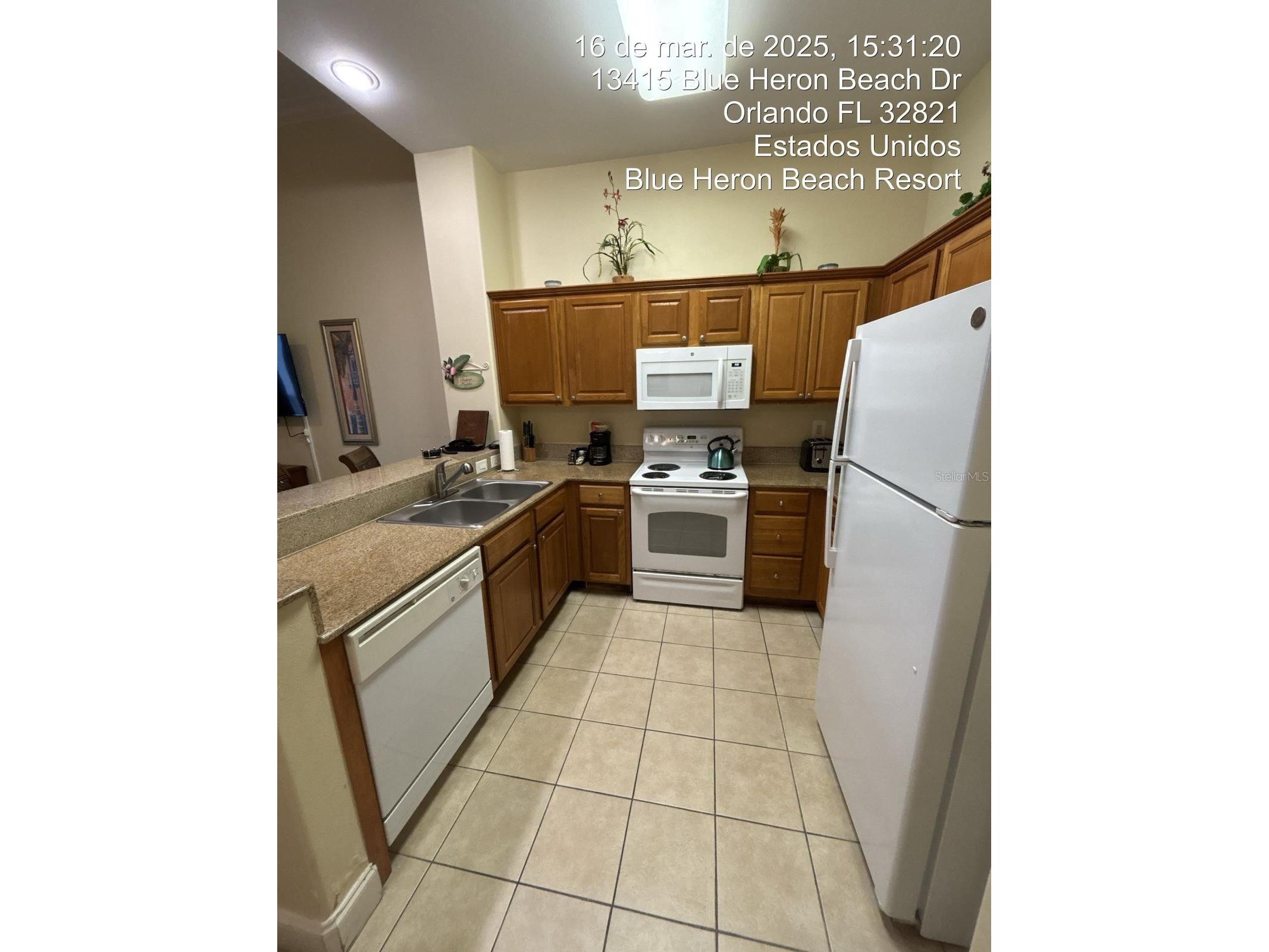 13415 Blue Heron Beach Drive Orlando FL 32821 S5142808 image11