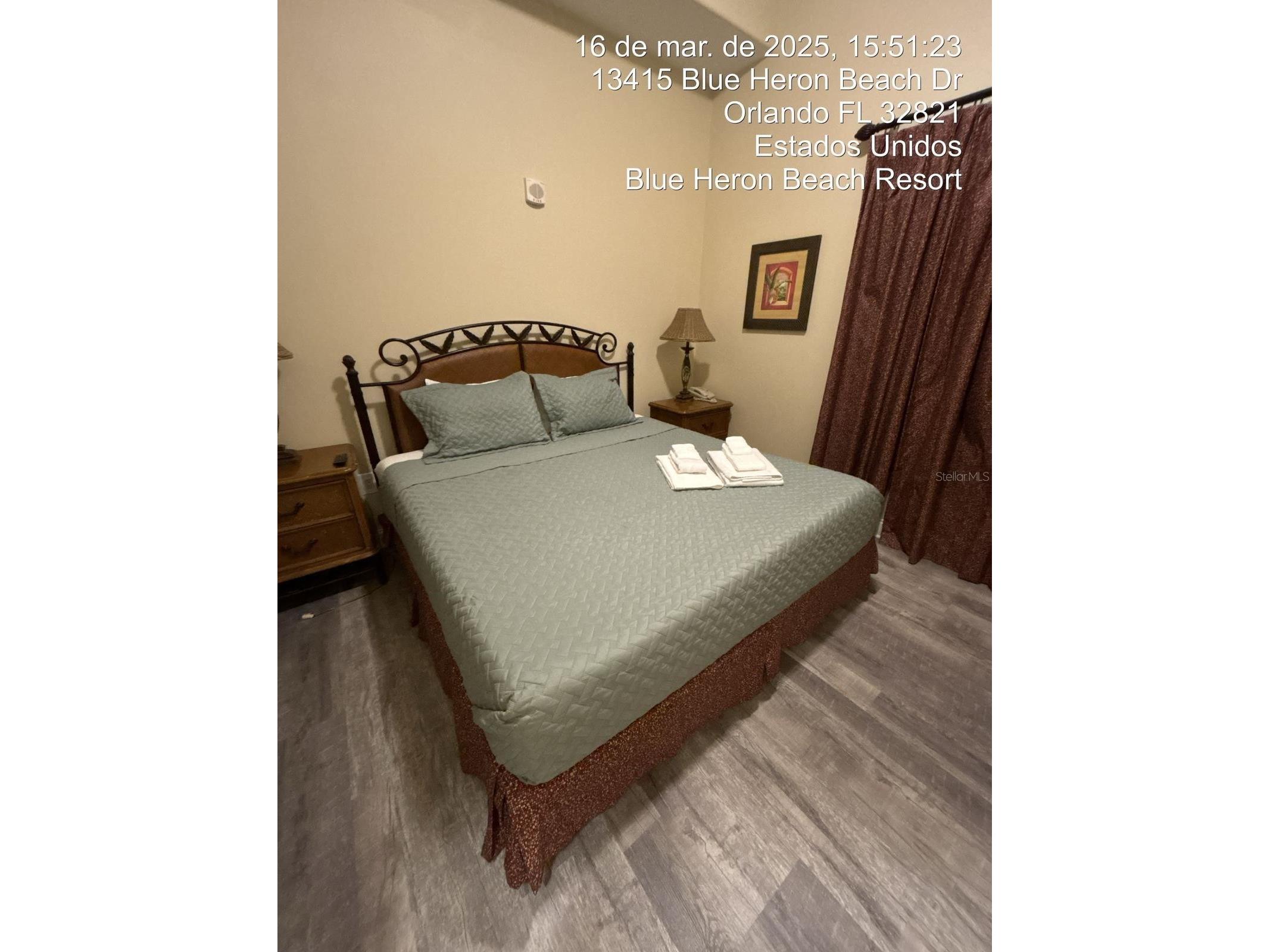 13415 Blue Heron Beach Drive Orlando FL 32821 S5142808 image2