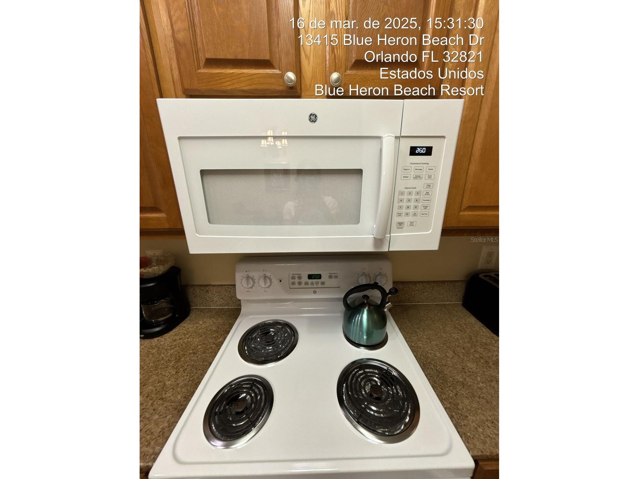 13415 Blue Heron Beach Drive Orlando FL 32821 S5142808 image5