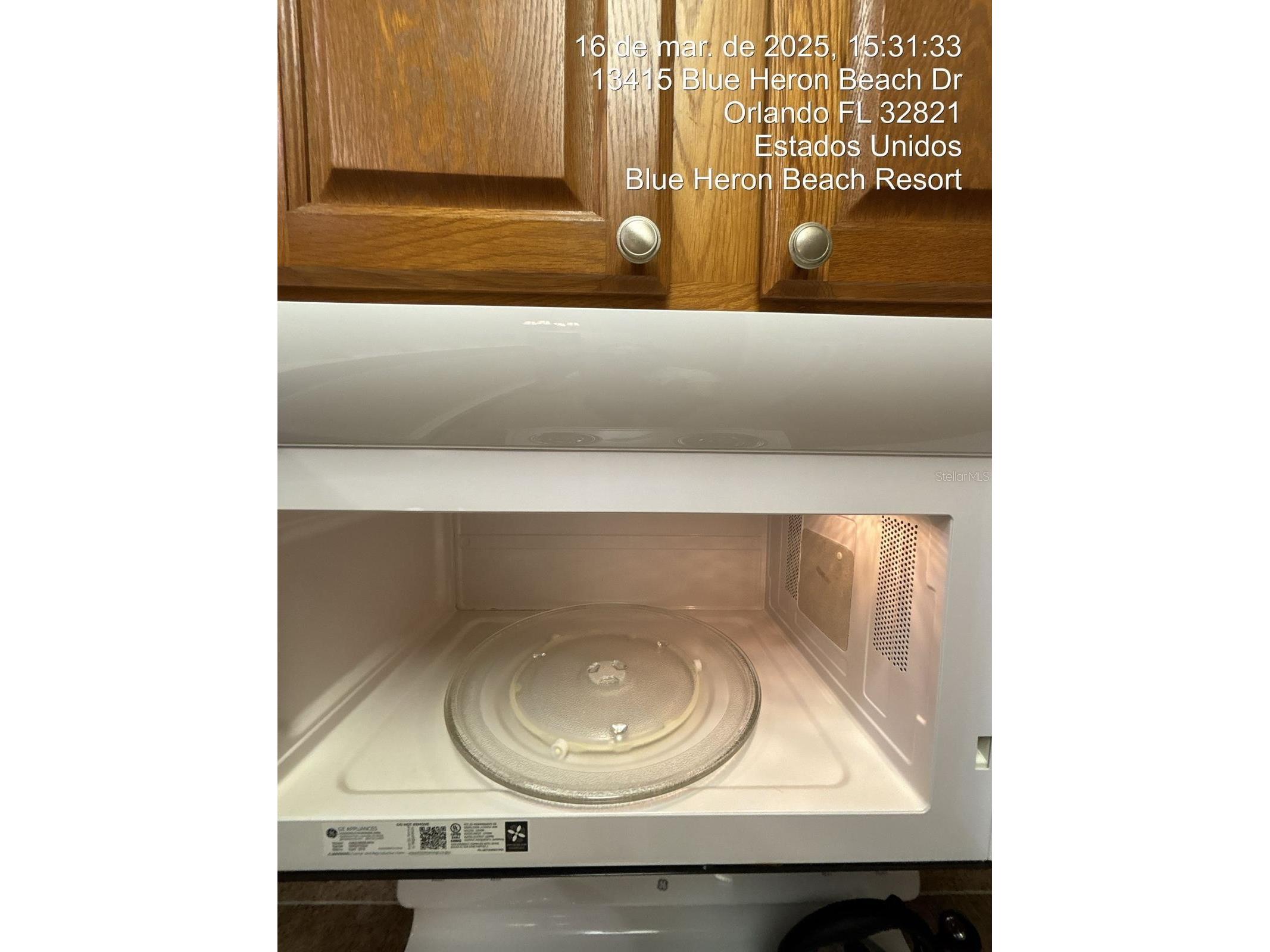 13415 Blue Heron Beach Drive Orlando FL 32821 S5142808 image9