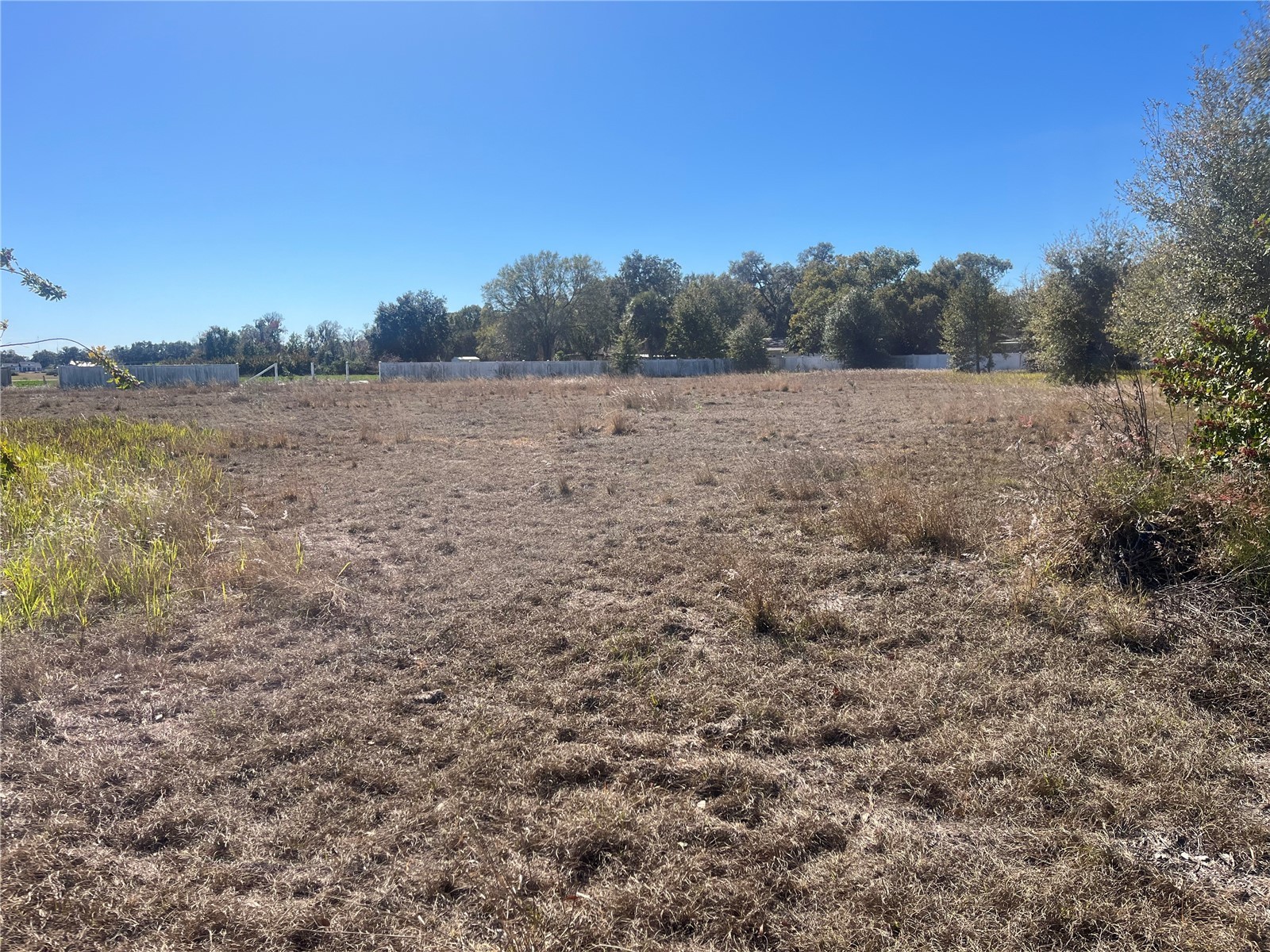 13415 Cocopah Lane Dover FL 33527 TB8466346 image10