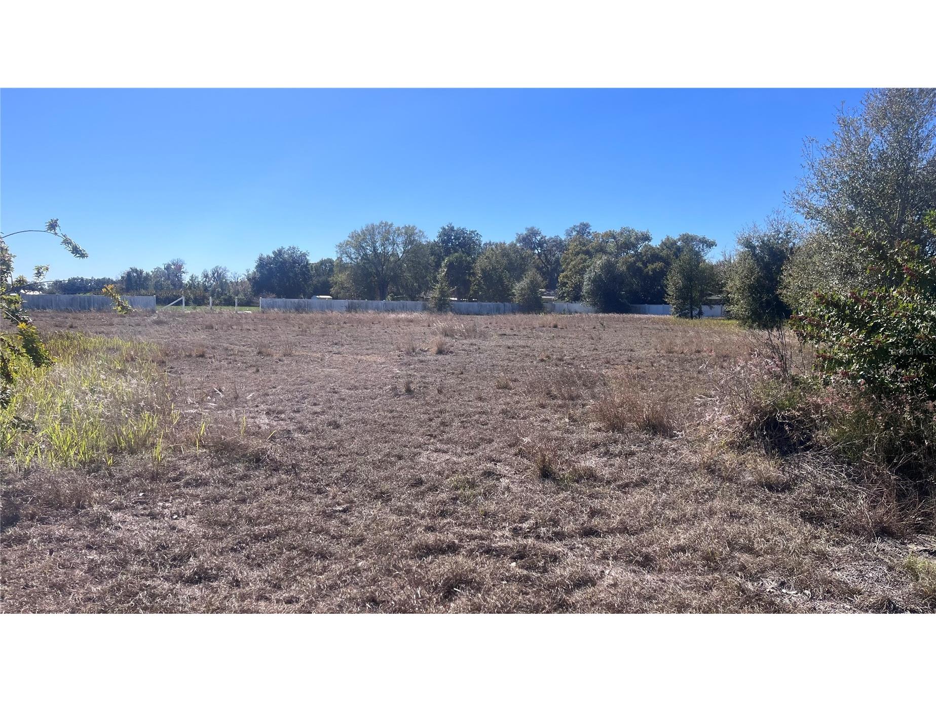 13415 Cocopah Lane Dover FL 33527 TB8466346 image11