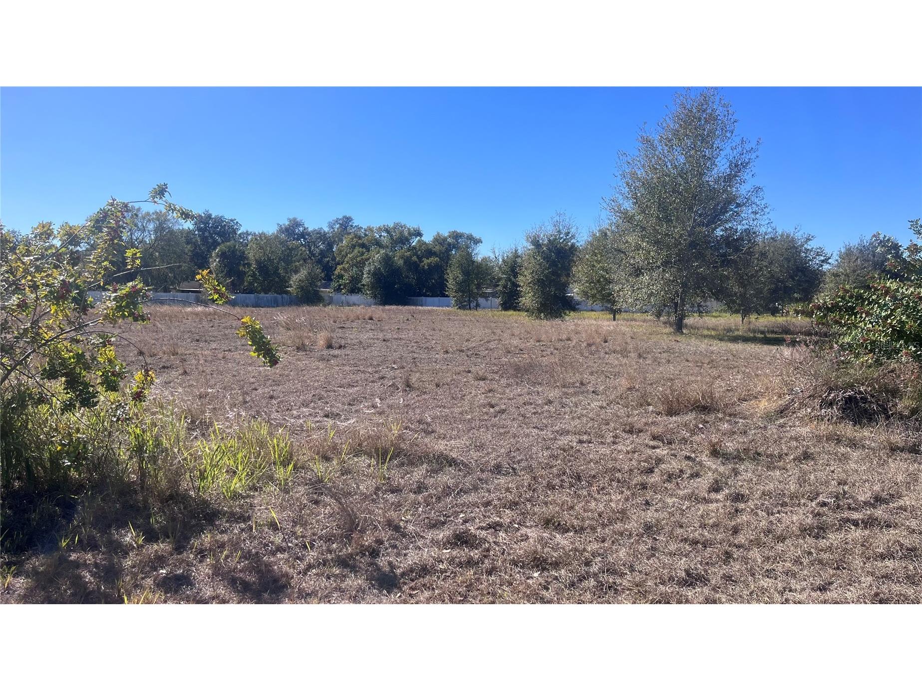 13415 Cocopah Lane Dover FL 33527 TB8466346 image12