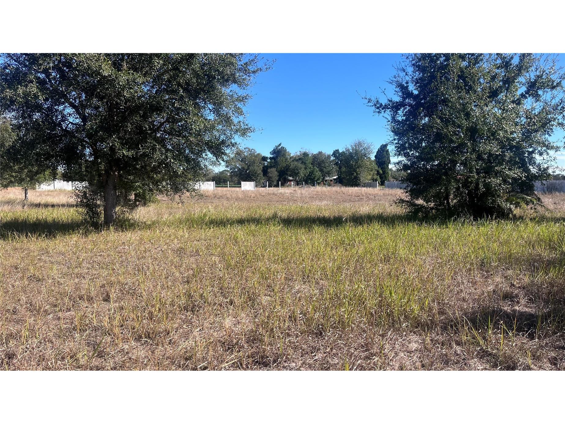 13415 Cocopah Lane Dover FL 33527 TB8466346 image13