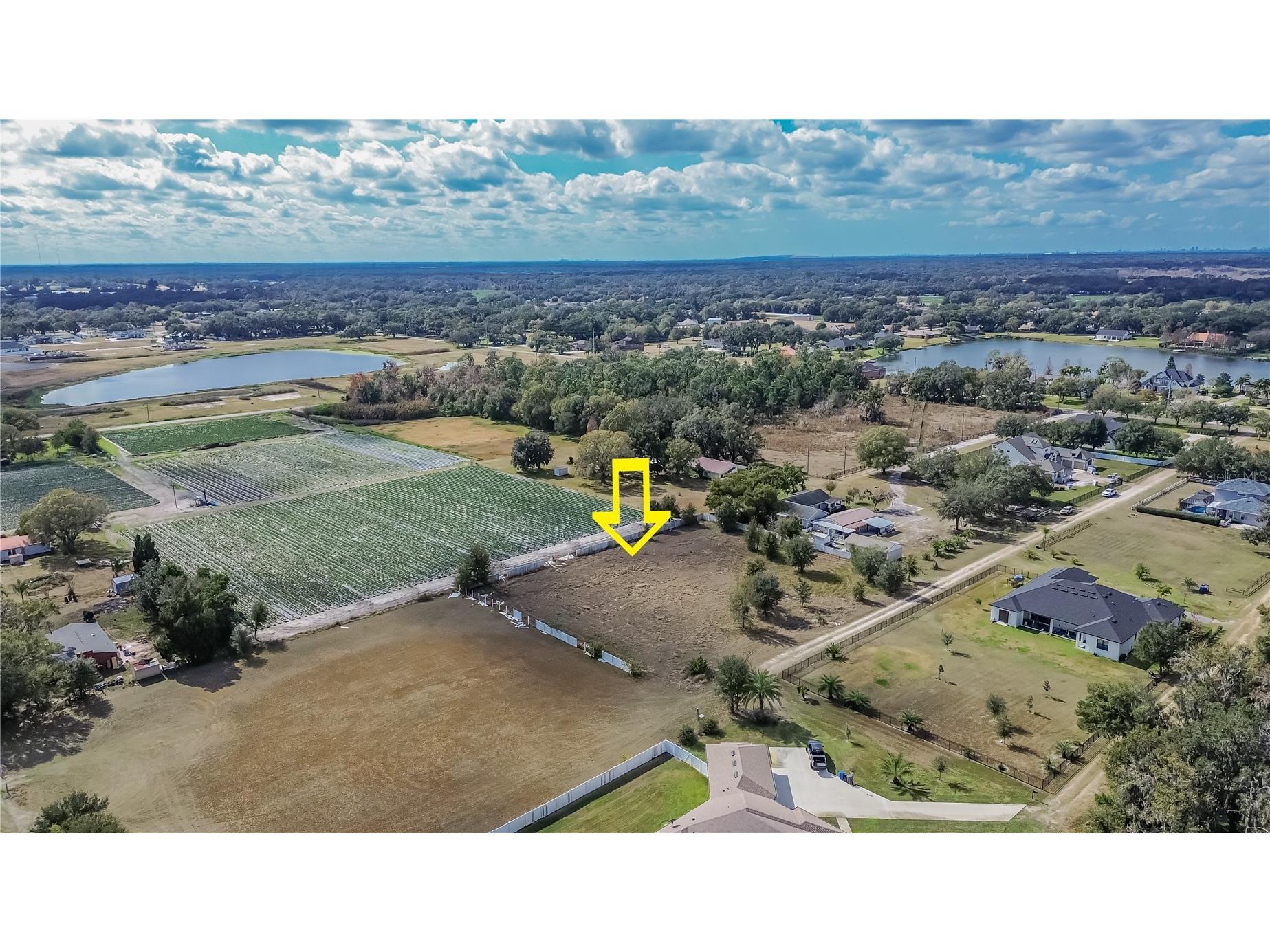 13415 Cocopah Lane Dover FL 33527 TB8466346 image3