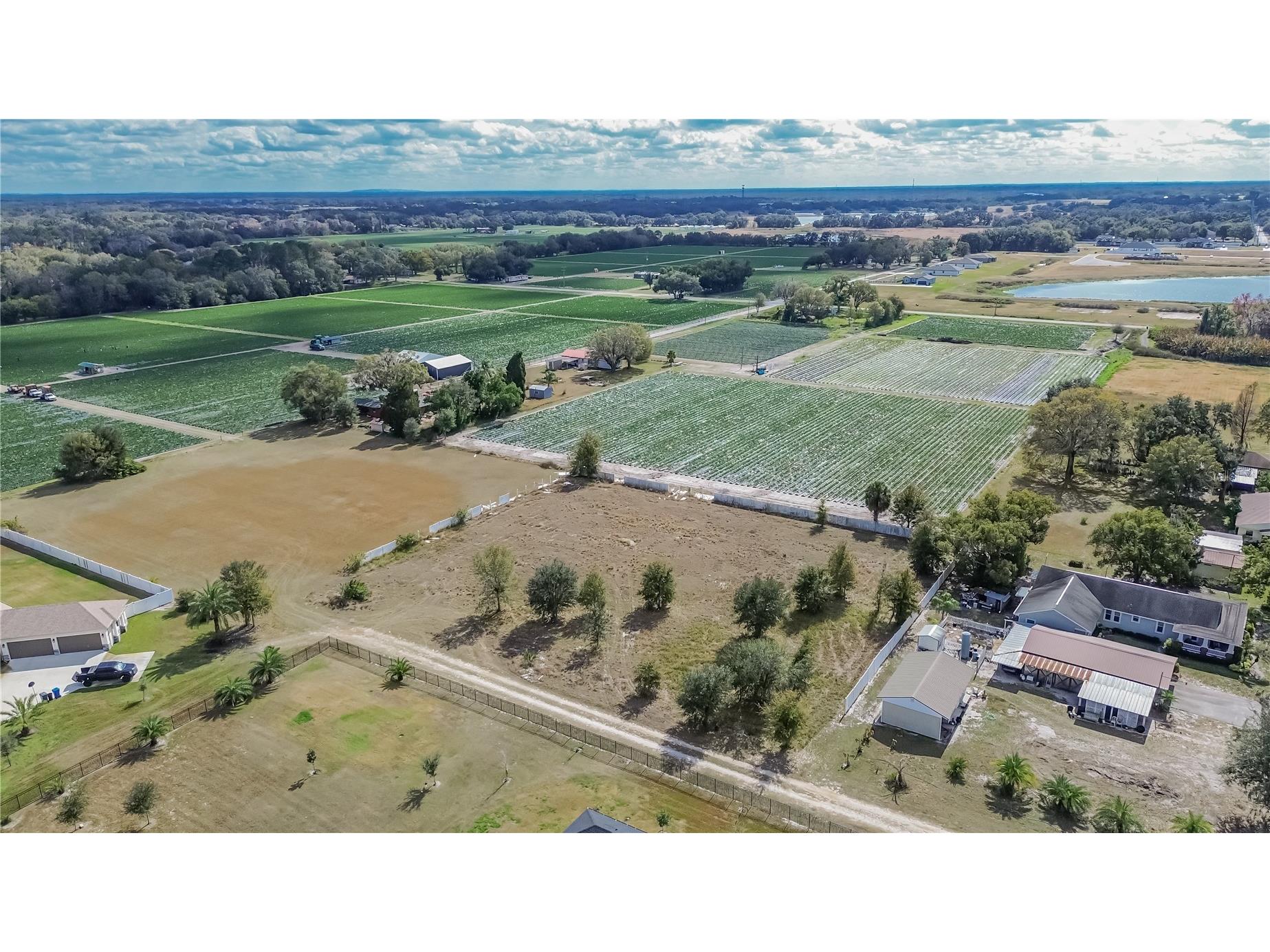 13415 Cocopah Lane Dover FL 33527 TB8466346 image4