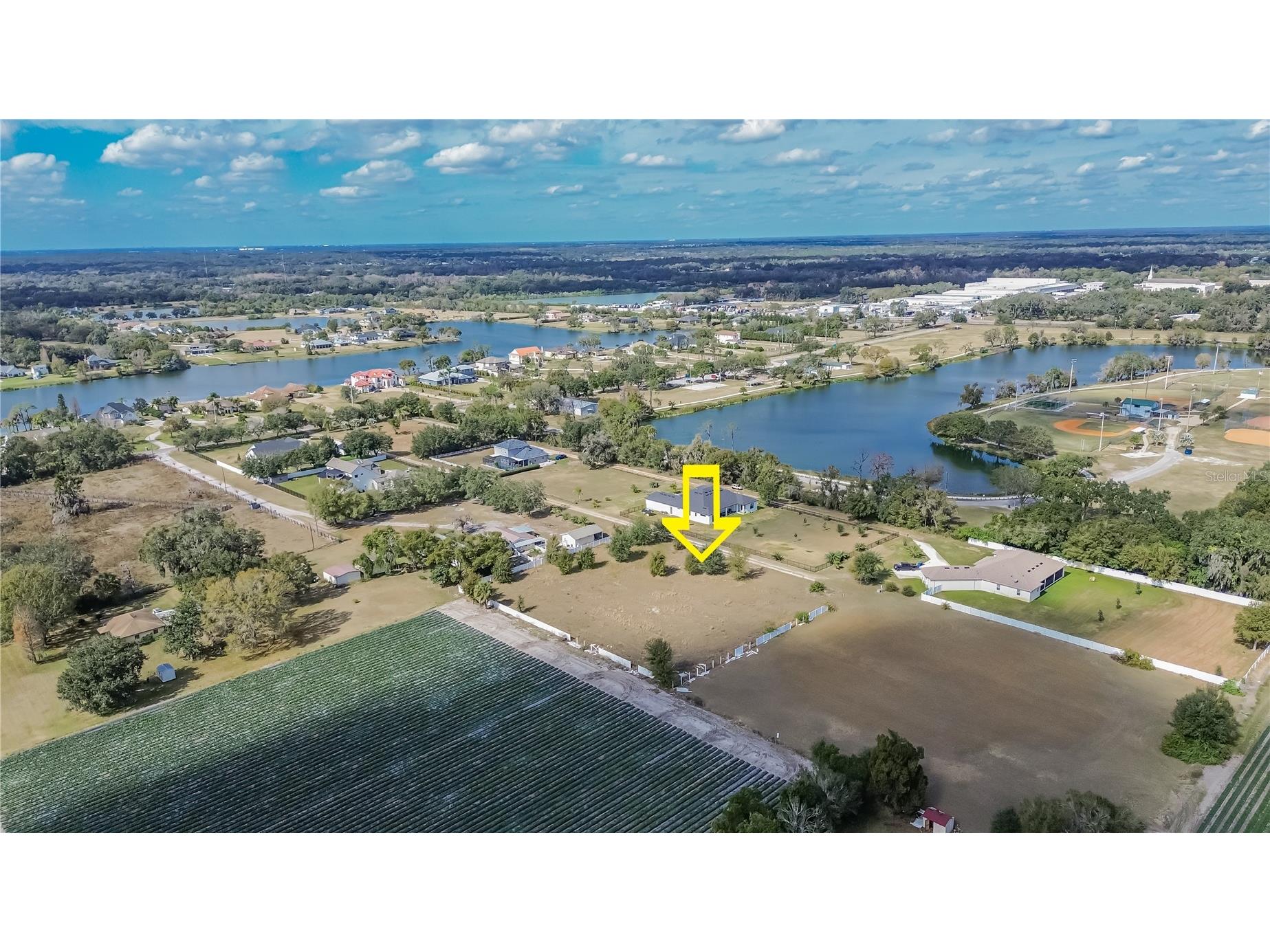 13415 Cocopah Lane Dover FL 33527 TB8466346 image5