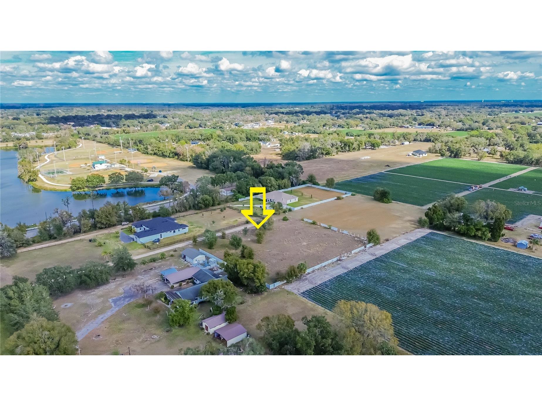 13415 Cocopah Lane Dover FL 33527 TB8466346 image7