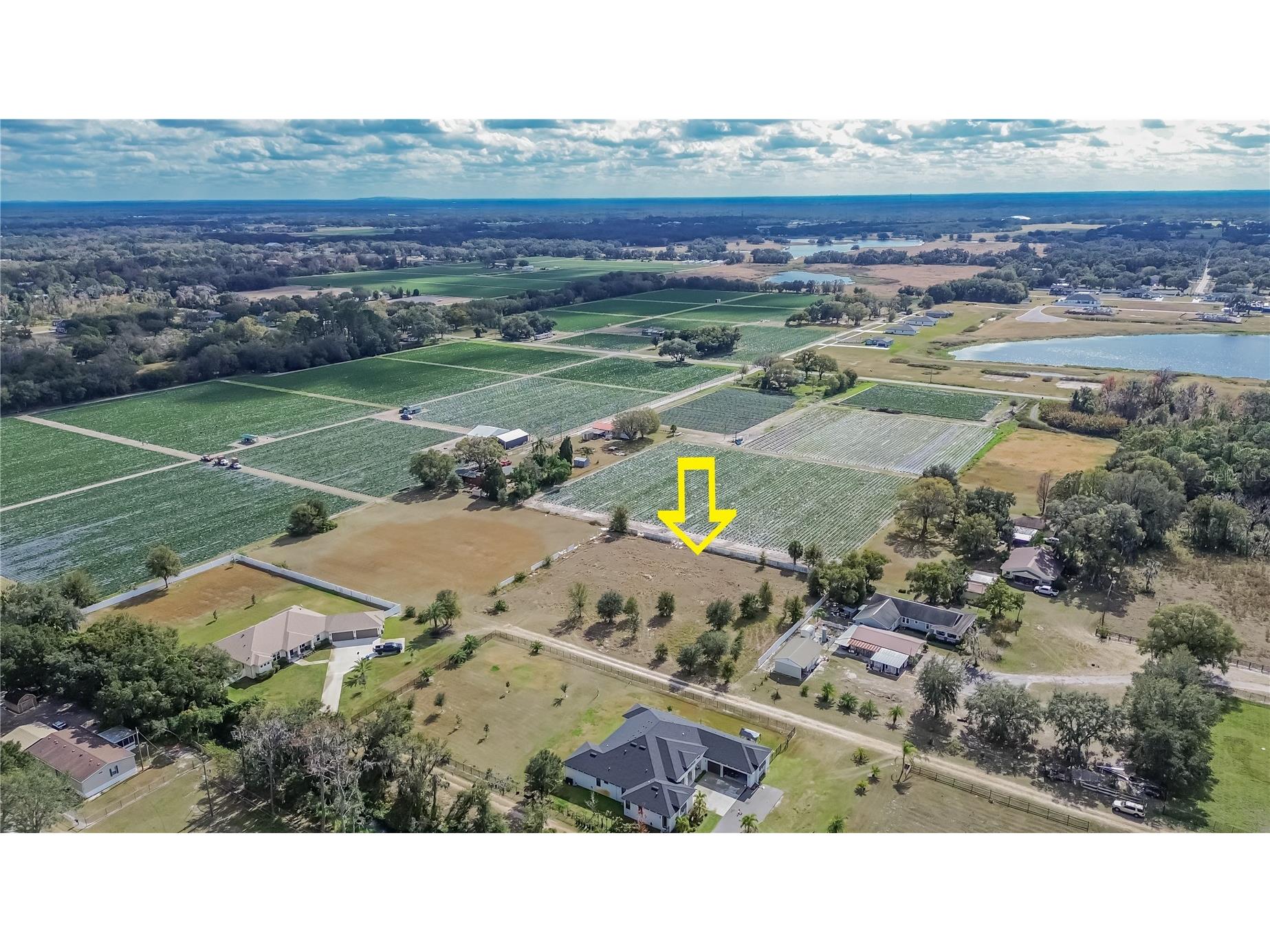 13415 Cocopah Lane Dover FL 33527 TB8466346 image8