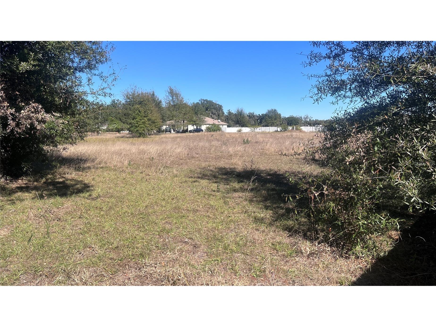 13415 Cocopah Lane Dover FL 33527 TB8466346 image9