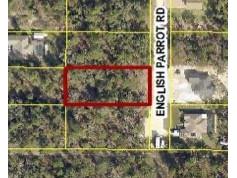 13415 English Parrot Road Brooksville FL 34614 W7885263 image1