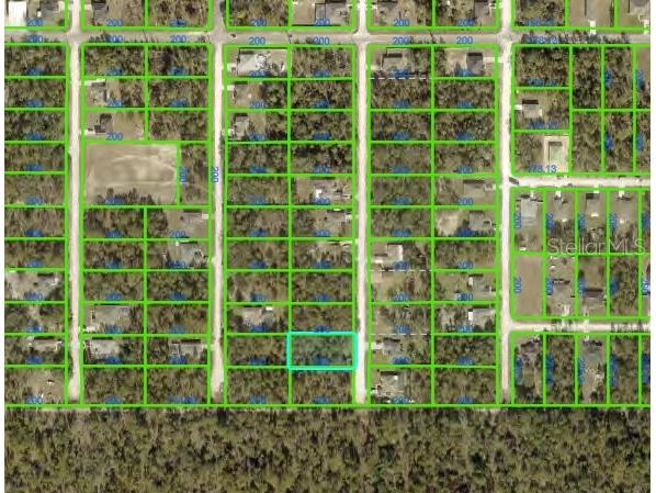 13415 English Parrot Road Brooksville FL 34614 W7885263 image3