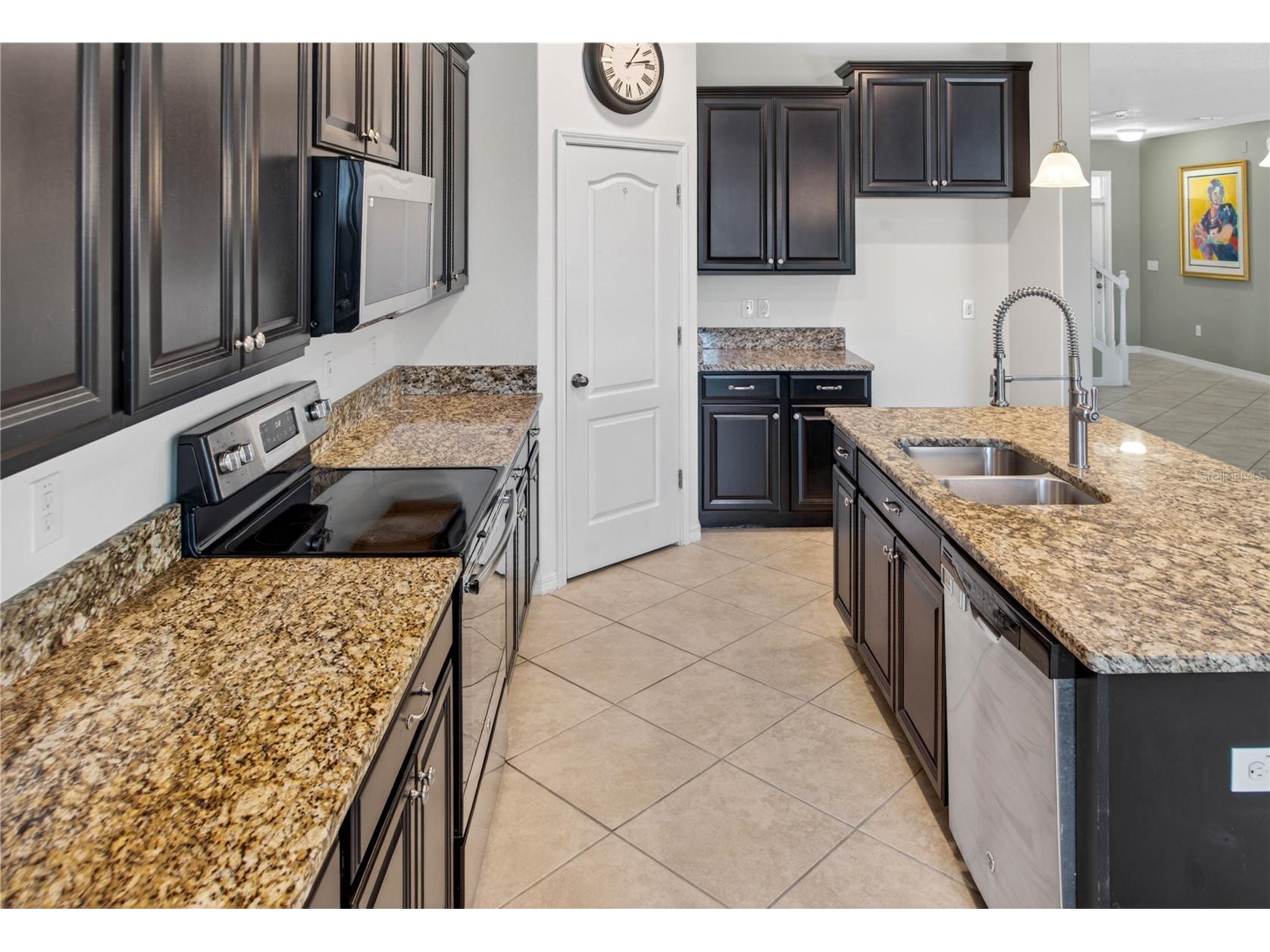 13415 White Sapphire Road Riverview FL 33579 TB8509518 image27
