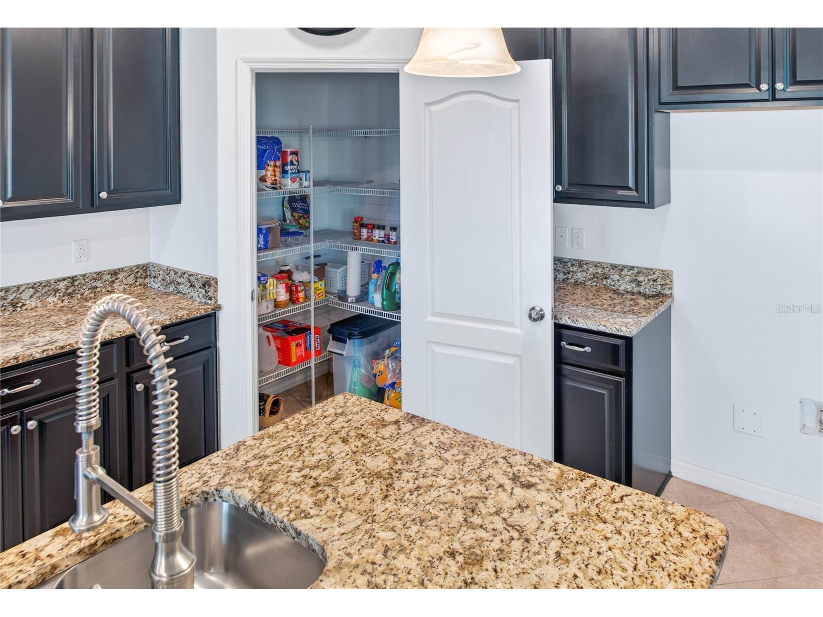 13415 White Sapphire Road Riverview FL 33579 TB8509518 image28