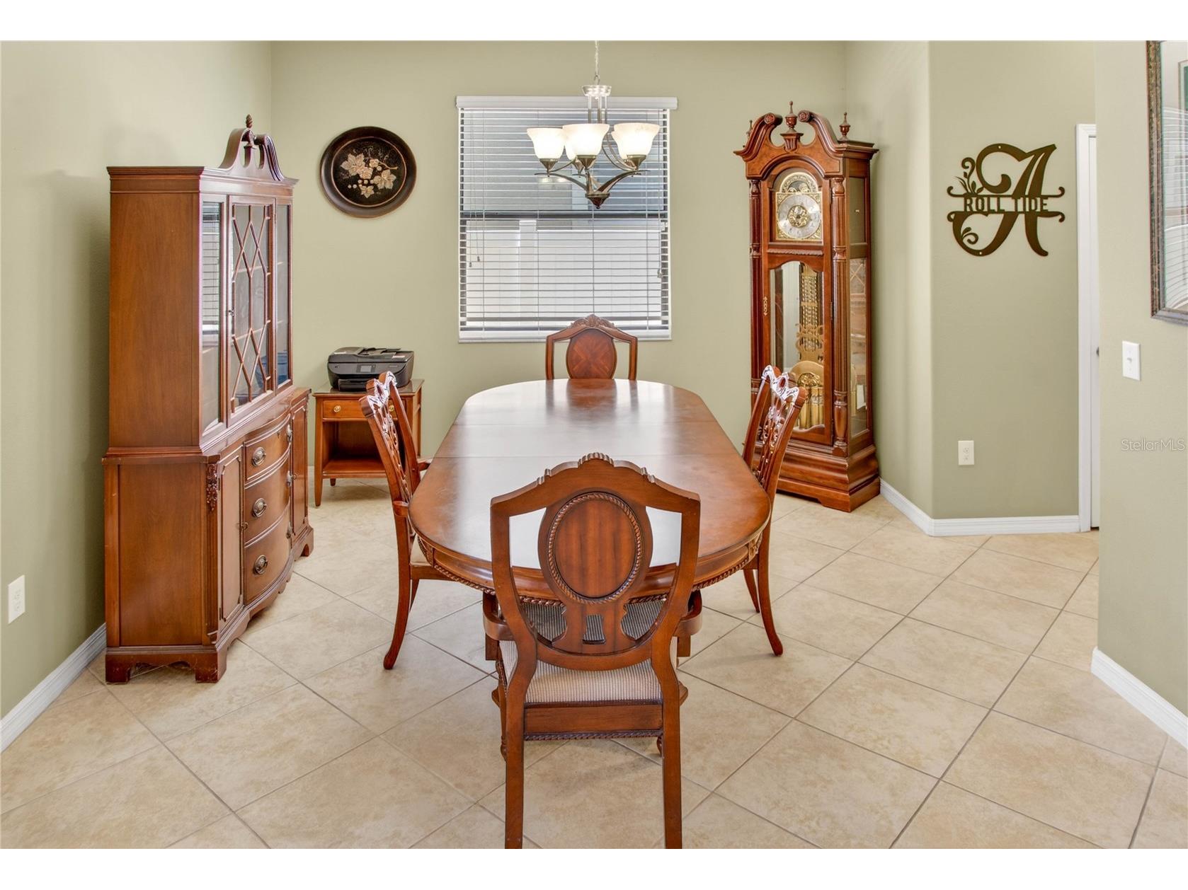 13415 White Sapphire Road Riverview FL 33579 TB8509518 image31