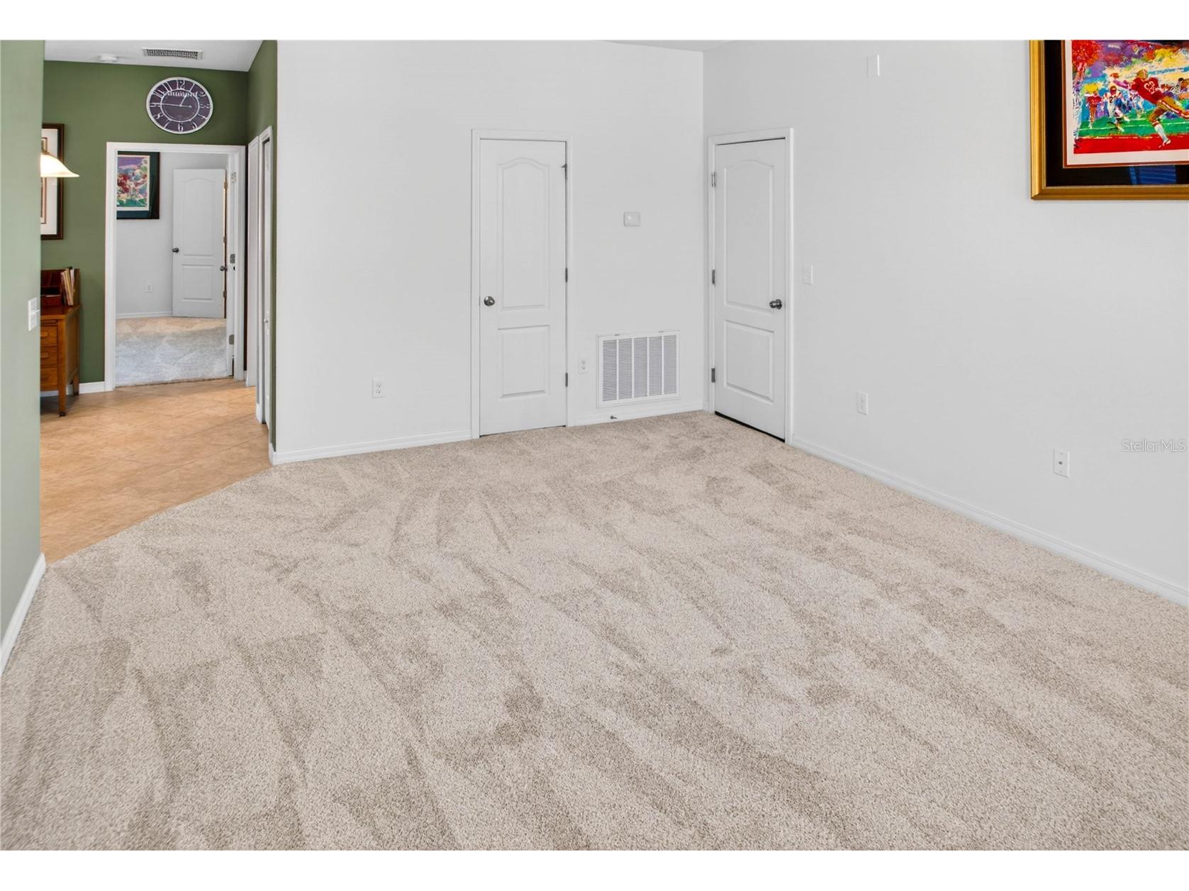 13415 White Sapphire Road Riverview FL 33579 TB8509518 image37
