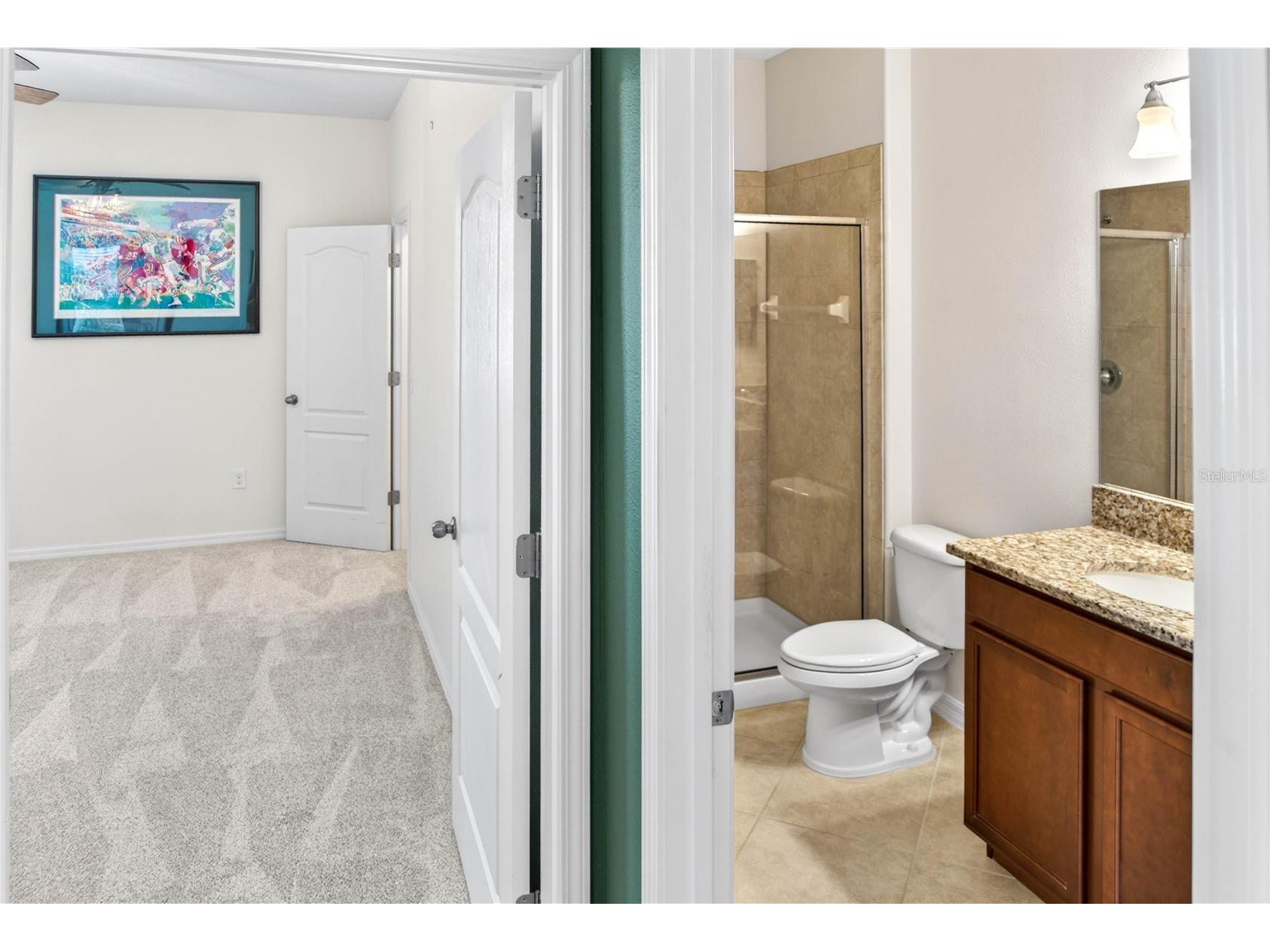 13415 White Sapphire Road Riverview FL 33579 TB8509518 image42