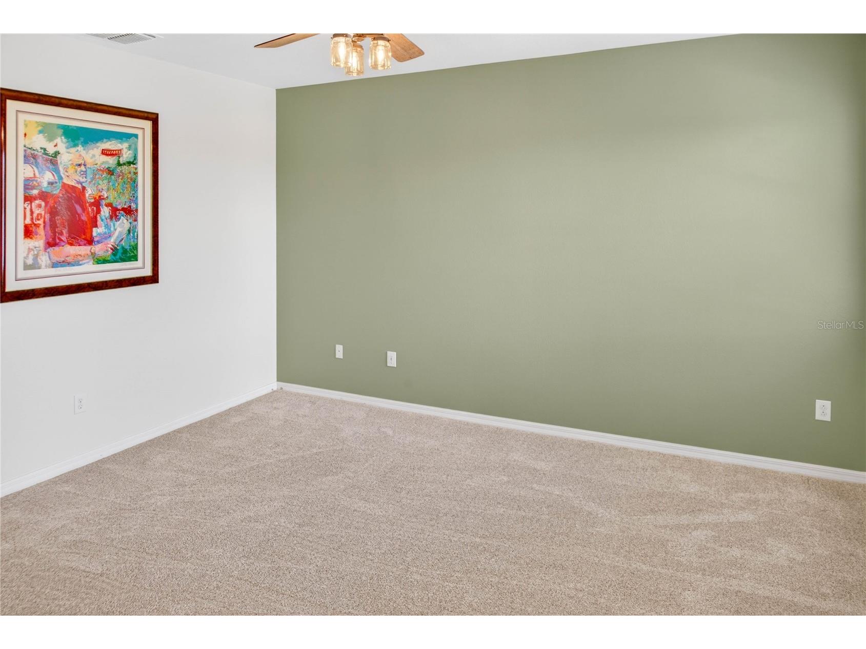 13415 White Sapphire Road Riverview FL 33579 TB8509518 image44
