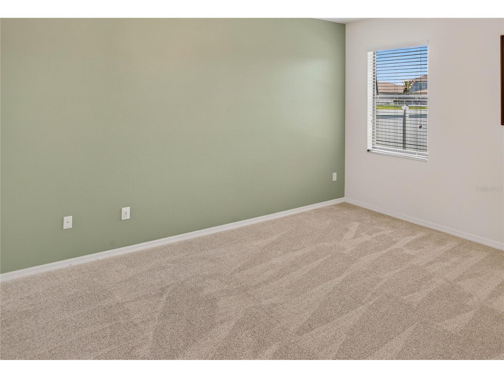 13415 White Sapphire Road Riverview FL 33579 TB8509518 image45
