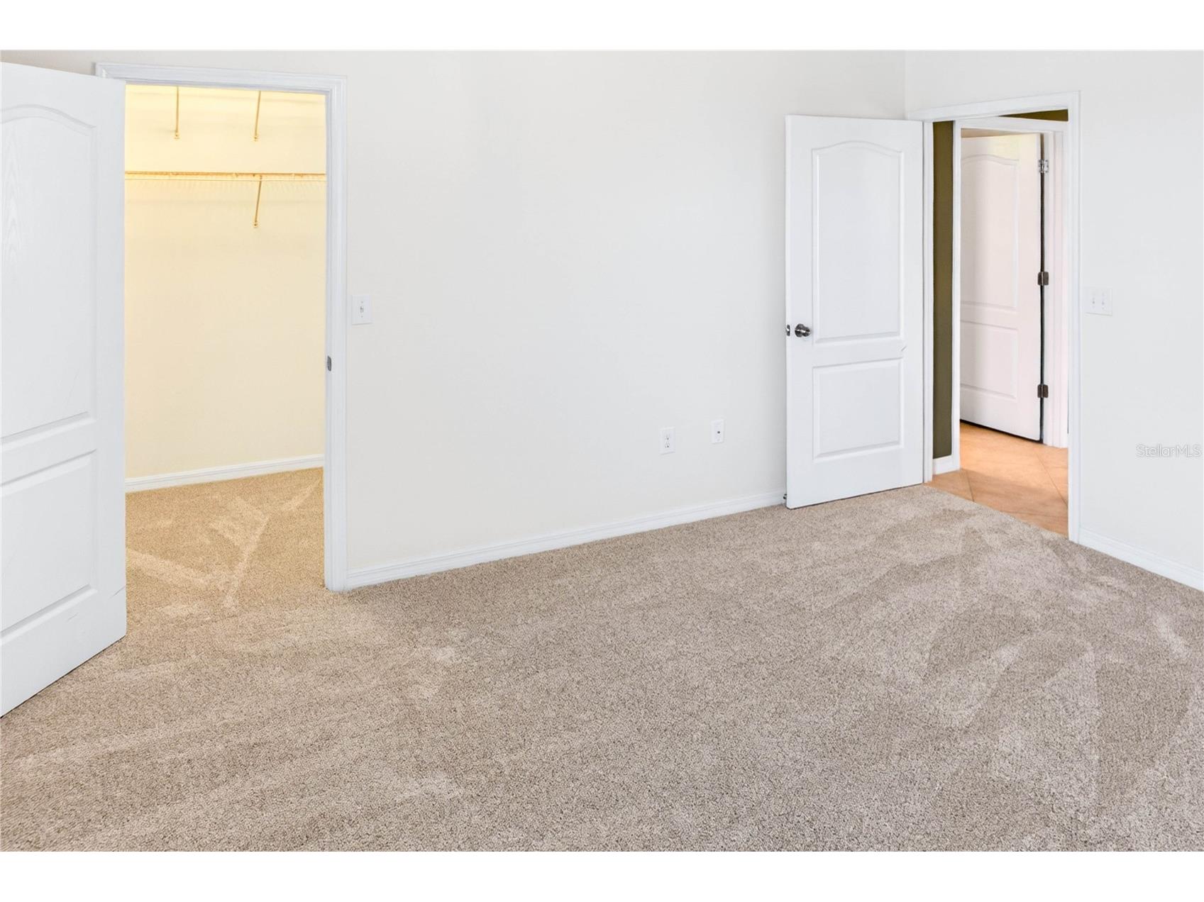 13415 White Sapphire Road Riverview FL 33579 TB8509518 image47