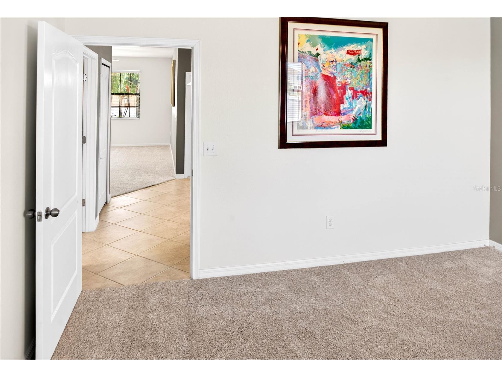 13415 White Sapphire Road Riverview FL 33579 TB8509518 image48