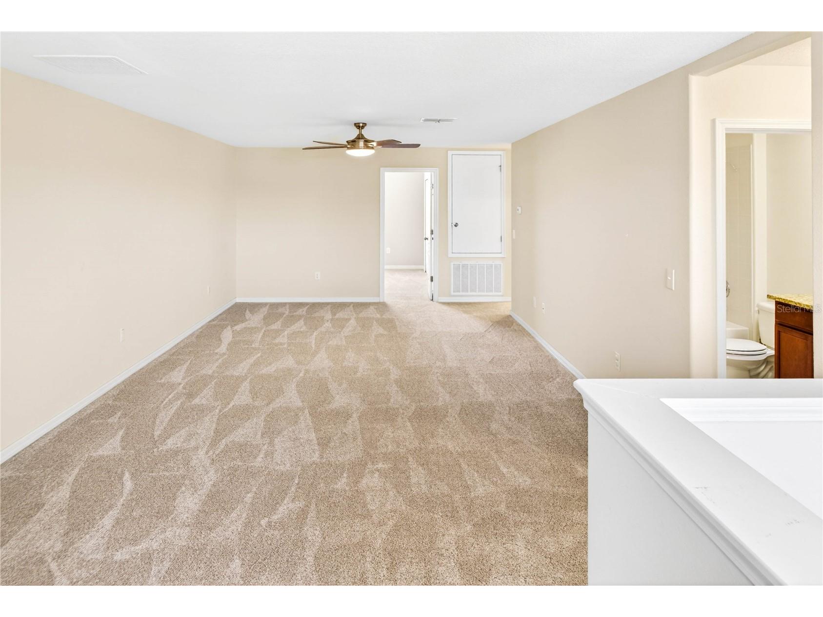13415 White Sapphire Road Riverview FL 33579 TB8509518 image50